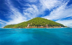 Seychelles Island, pequena ilha, árvores, mar