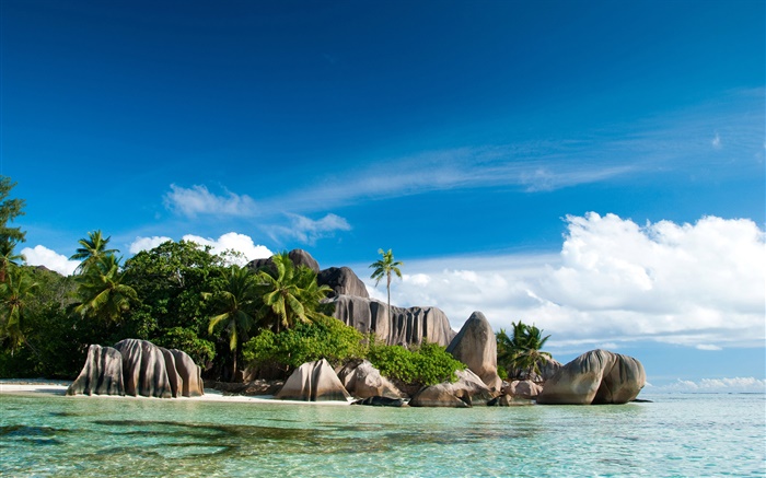 Seychelles ilha, mar, costa, pedras, palmeiras, nuvens Papéis de Parede, imagem