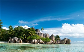 Seychelles ilha, mar, costa, pedras, palmeiras, nuvens HD Papéis de Parede