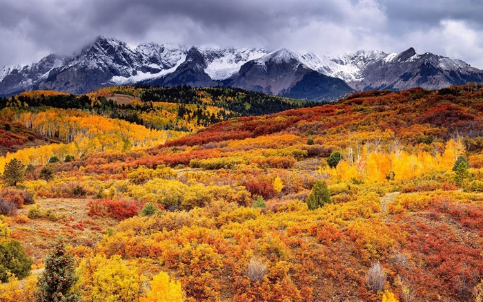 declive, montanhas, árvores, outono, nuvens Papéis de Parede, imagem