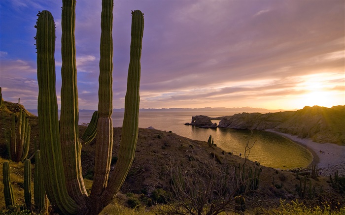 Pôr do sol, montanhas, mar, ilha de Santa Catalina, na Califórnia, EUA Papéis de Parede, imagem