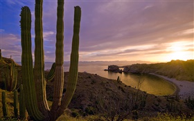 Pôr do sol, montanhas, mar, ilha de Santa Catalina, na Califórnia, EUA