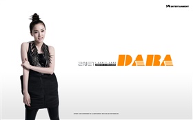 2NE1, meninas da música coreana 13 HD Papéis de Parede