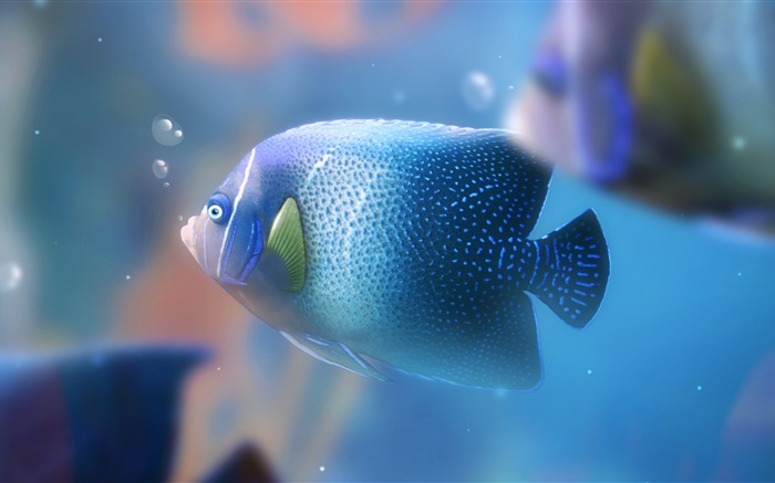 Peixes de aquário azul close-up Papéis de Parede, imagem