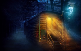 Floresta, noite, lua cheia, casa de madeira, luzes HD Papéis de Parede
