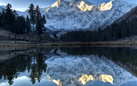 Montanhas, lago, árvores, reflexão da água, neve