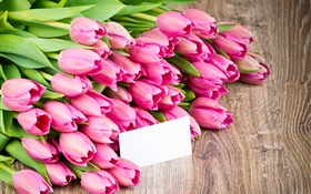 Tulipas cor de rosa, flores bouquet HD Papéis de Parede