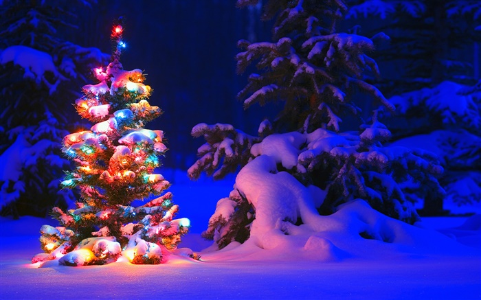 Neve, luzes, árvore, Inverno, Noite, Natal Papéis de Parede, imagem
