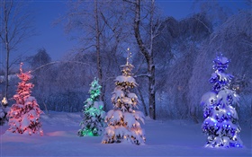 Nevado, árvores iluminadas, inverno, Canadá