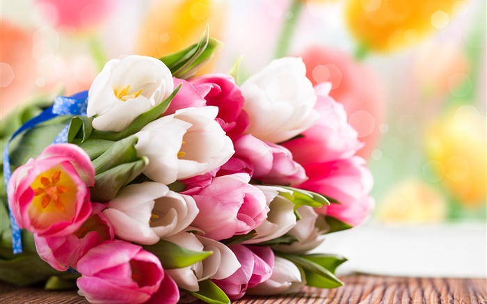 Primavera, tulipas, flores, branco, rosa Papéis de Parede, imagem