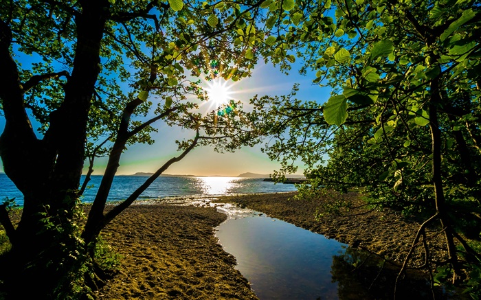 Raios do sol, árvores, lago Papéis de Parede, imagem