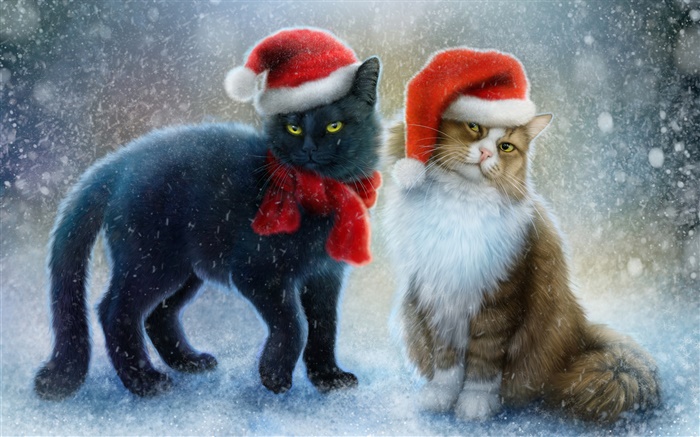 Dois gatos, neve, lenço, chapéu de Natal Papéis de Parede, imagem
