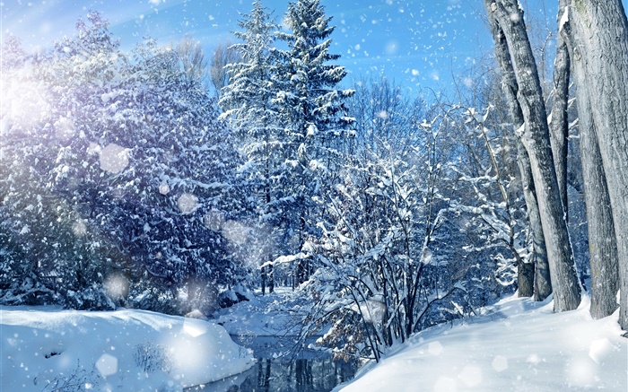 Inverno, floresta, árvores, rio, neve espessa Papéis de Parede, imagem