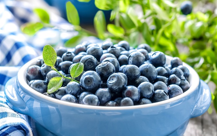 Uma tigela de blueberries Papéis de Parede, imagem
