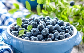 Uma tigela de blueberries HD Papéis de Parede