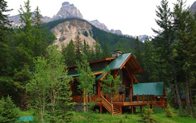 Alberta, Canadá, villa, casa, floresta, árvores, montanhas