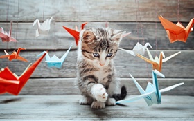 Gatinho bonito, pássaros de papel colorido