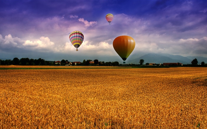 Fazenda, campo, balões de ar quente, céu, nuvens, casas, aldeia Papéis de Parede, imagem
