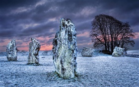 Megalith, pedras, árvores, neve, nuvens, inverno