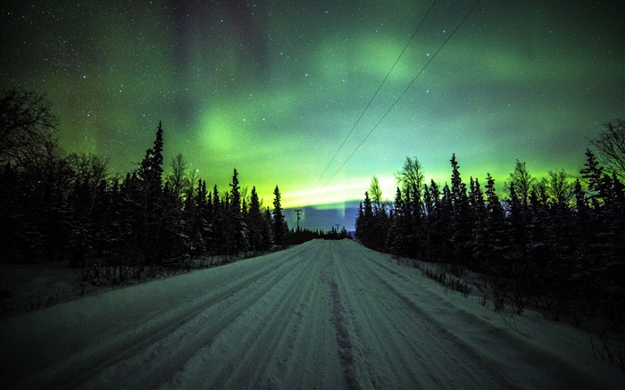 Aurora boreal, estrada, pinheiros, estrelas Papéis de Parede, imagem