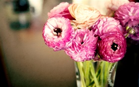 Flores cor de rosa, ranúnculo, vaso HD Papéis de Parede