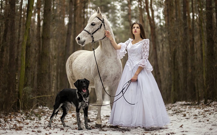 Estilo retro, menina vestido branco, cavalo, cão, floresta Papéis de Parede, imagem