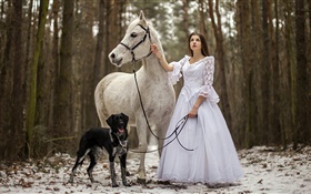 Estilo retro, menina vestido branco, cavalo, cão, floresta