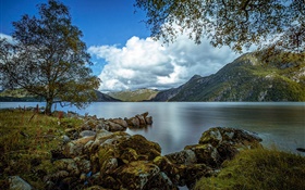 Rogaland, Noruega, lago, montanhas, árvores, rochas, nuvens