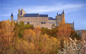 Espanha, Segovia Alcazar, Palácio, árvores, céu, outono