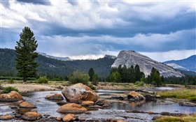 EUA, Califórnia, Parque nacional de Yosemite, floresta, montanhas, nuvens, rochas