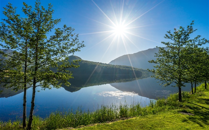 Vigesaa, Rogaland, Noruega, lago, árvores, luz solar Papéis de Parede, imagem