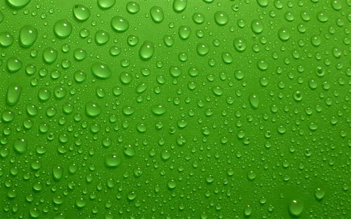 As gotas da água, fundo verde Papéis de Parede, imagem