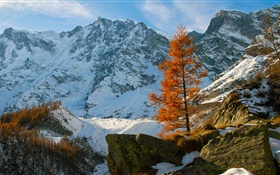 Inverno, montanhas, neve, árvores, pedras HD Papéis de Parede