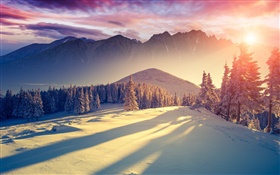 Inverno, neve, frio, montanhas, árvores, abeto vermelho, céu, nascer do sol, sombras