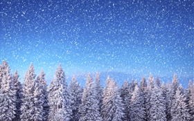 Inverno, abetos, céu azul, flocos de neve, neve