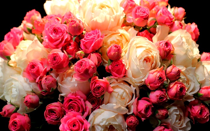 Bouquet flores rosa, vermelho e branco Papéis de Parede, imagem