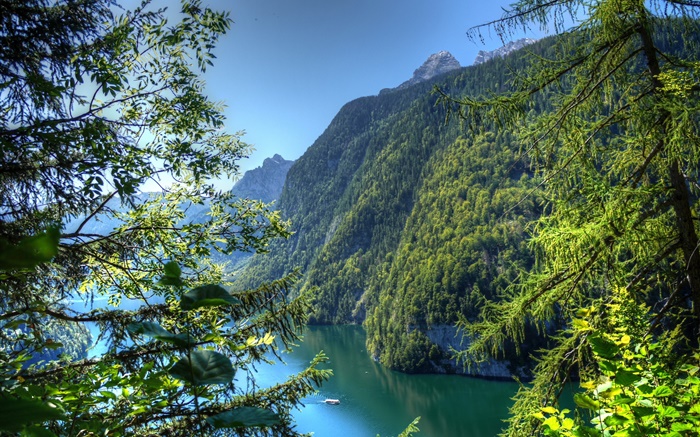 Alemanha, Baviera, montanhas, floresta, árvores, rio Papéis de Parede, imagem
