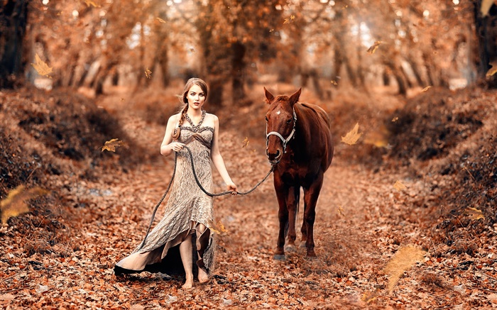 A menina eo cavalo, outono, folhas amarelas Papéis de Parede, imagem
