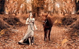 A menina eo cavalo, outono, folhas amarelas HD Papéis de Parede