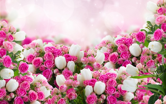Muitas flores cor de rosa, rosa e branco Papéis de Parede, imagem