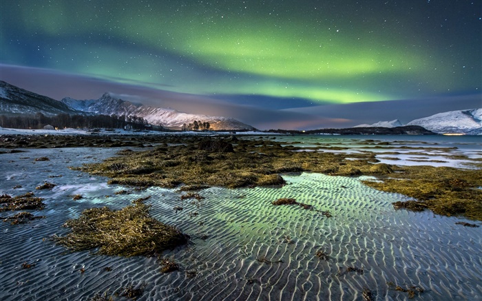 Noruega, luzes do norte, noite, estrelas, mar, costa, inverno, neve Papéis de Parede, imagem