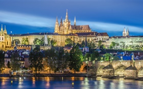 Praga, República Checa, rio, ponte, Catedral de São Vito, noite, luzes