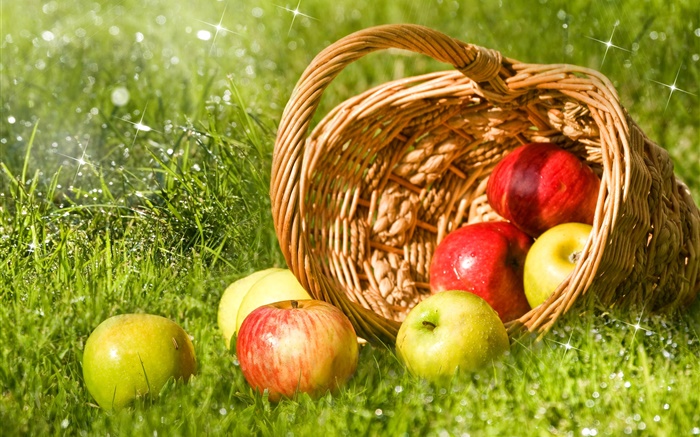 maçãs vermelhas e verdes, fruta, cesta, grama Papéis de Parede, imagem