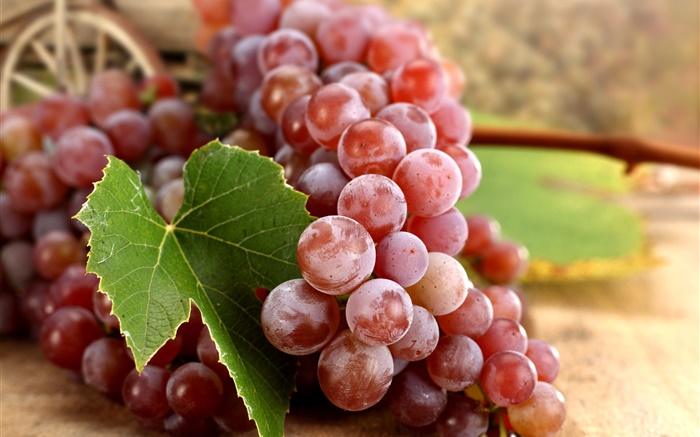 As uvas vermelhas, folhas, outono Papéis de Parede, imagem