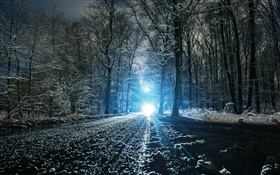 Inverno, estrada, árvores, furo, neve, luz