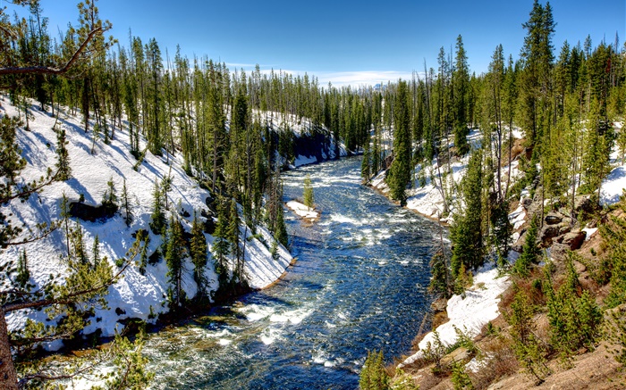Parque Nacional de Yellowstone, EUA, floresta, árvores, rio, neve, inverno Papéis de Parede, imagem