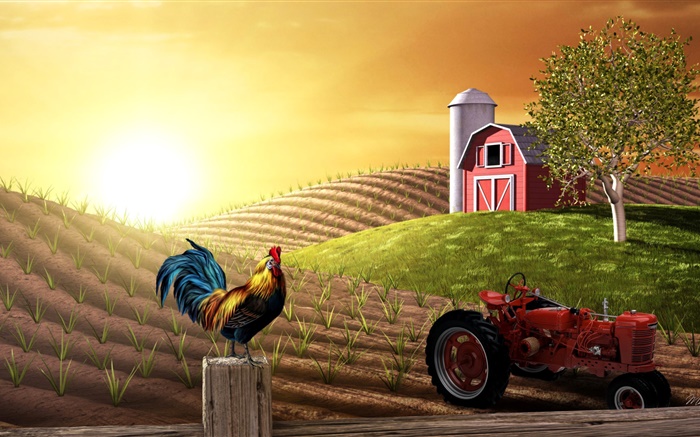 imagens 3D, fazenda, campo, trator, galo, casa, sol Papéis de Parede, imagem
