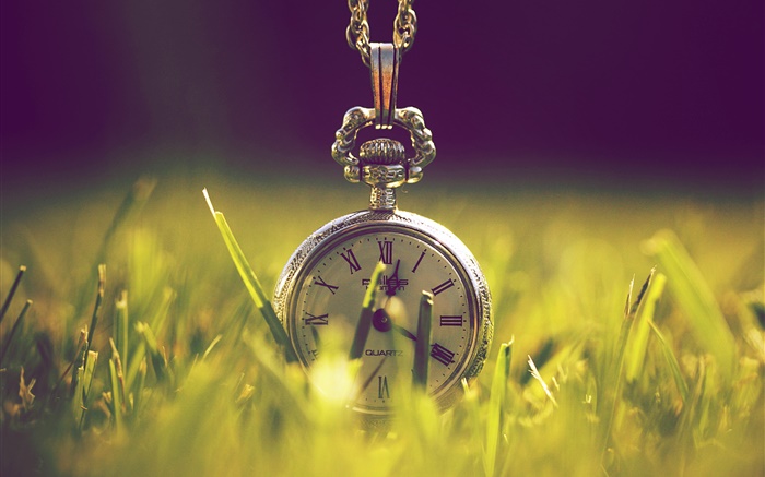 Relógio na grama, verde, luz solar Papéis de Parede, imagem