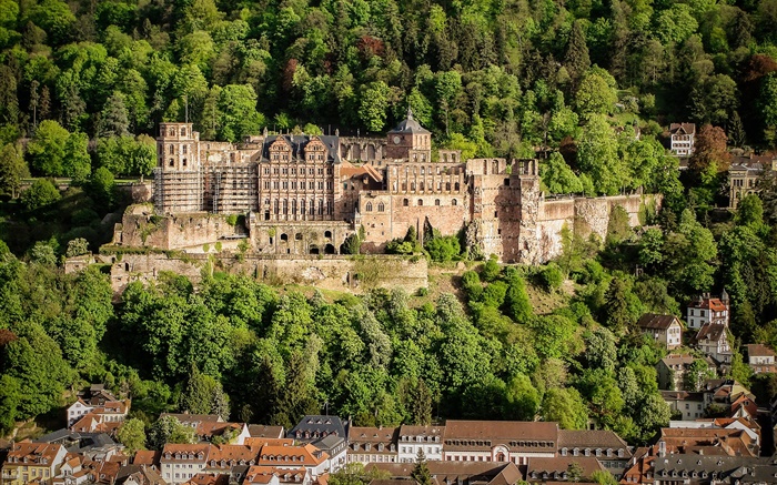 Alemanha, Heidelberg Castle, árvores, casas Papéis de Parede, imagem