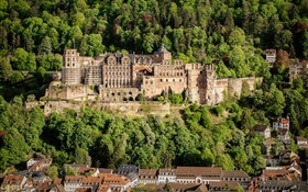 Alemanha, Heidelberg Castle, árvores, casas